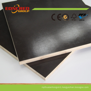 Black Brown Film Faced Plywood for Construction